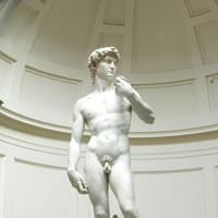 Florence Medici Pass — gallery 3