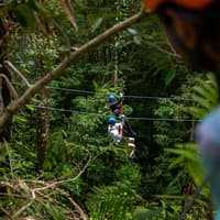 Treetops Adventure - Cape Tribulation
