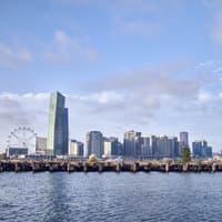 2-Hour Yarra River Sightseeing Cruise — gallery 4