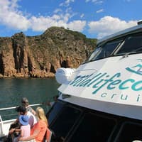 Cape Woolamai Cruise from San Remo