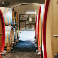 From Naples: Vesuvius Wine Tasting Experience With Mediterranean Lunch