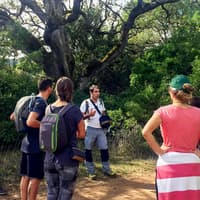 Half-Day Hiking at Arrábida Natural Park