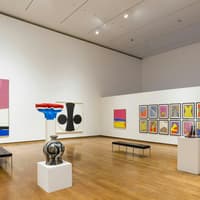 Everson Museum of Art: Entry Ticket
