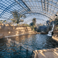 Paris Zoological Park: Entry Ticket — gallery 4