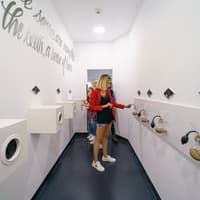 Museum of Senses Bucharest: Entry Ticket — gallery 1