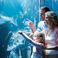 Go City Chicago Explorer Pass: Choose from 39 Attractions — gallery 2
