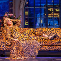 Death Becomes Her tickets at Lunt-Fontanne Theatre, New York, photo 2