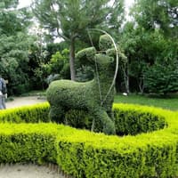 El Bosque Encantado: Entry Ticket