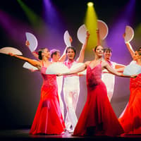 Costa Adeje: Olé Flamenco Show — gallery 3