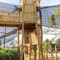 Parrot World: Annual Pass