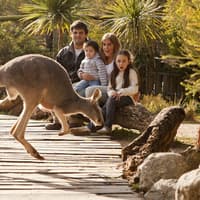 Temaikèn Zoo: Entrance & Transport from Buenos Aires — gallery 3