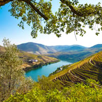 Full Day River Cruise to Douro Valley with Meals and Return Transfer — gallery 3