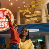 Chicago History Museum: Entry Ticket — gallery 3