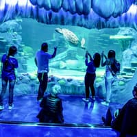 [Save upto 55%] Sydney 4 Attractions Pass