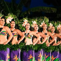Chief's Luau