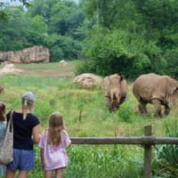 Welcome to Nashville Attraction Pass — gallery 1