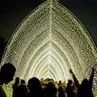 Lightscape Brooklyn — gallery 4