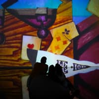 Nomad Immersive Museum: Entry Ticket — gallery 2