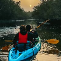 Guided Kayak Tour in the Mangroves