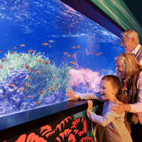 SEA LIFE London Aquarium: Standard Admission Tickets — gallery 1
