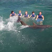 Delphinus Xcaret: Swim with Dolphins