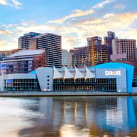 Penguin Passport Tickets: Guided Encounter at SEA LIFE Melbourne Aquarium — gallery 2