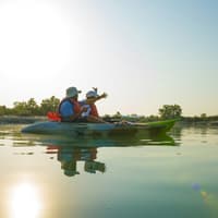 Guided Kayak Tour in the Mangroves