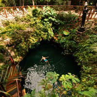 Cenote Adventuring with Regional Snack, Tequila Tasting and Transportation