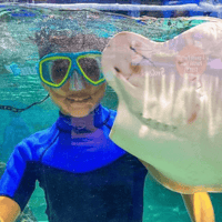 SeaQuest Las Vegas — gallery 2