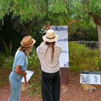 Pyramids of Güímar: Premium Ticket — gallery 2