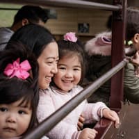 Puffing Billy Steam Train: Belgrave to Gembrook Return Ticket — gallery 1