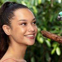 Birdworld Kuranda: Entry Ticket