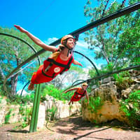 Xenses Park: Entry Ticket