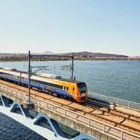 AREX: One-Way & Round Trip Train Transfers Between Incheon Airport & Seoul Station — gallery 2