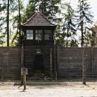 Auschwitz-Birkenau: One-Way Shuttle to/from Krakow