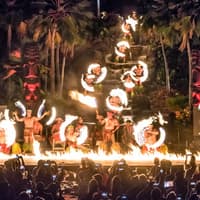 Chief's Luau