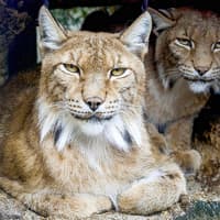 Krakow Zoo Entrance Tickets with Hotel Transfers — gallery 3