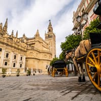 Guided Monumental Walking Tour in Seville — gallery 3
