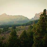 La Palma: Small Group Guided Day Tour from Tenerife + Lunch + Boat Ride — gallery 3