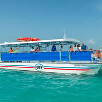 Key West: Tour Ecologico di Avvistamento Delfini, Key West