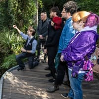 Melbourne Museum: Guided Highlights Tour, Мельбурн