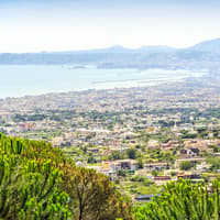 Mount Vesuvius: Entry Ticket + Guidebook
