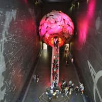 Natural History Museum London: Audio Guide App — gallery 2