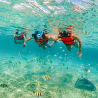 Xcaret Park: Entry Ticket, Xcaret Park, Akumal