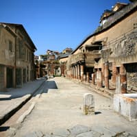 Herculaneum: Entry Ticket
