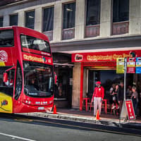 Hop-on Hop-off Bus Cape Town: Classic or Premium Ticket — gallery 4