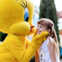 Unlimited Multi-Day Theme Parks Pass: Movie World, Sea World & Wet'n’Wild — gallery 3