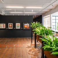 KUNST HAUS WIEN - Hundertwasser Museum Tickets — gallery 3
