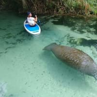 Miami: Nature & Island Exploration on SUP/Kayak