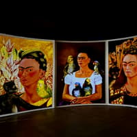 Frida Kahlo Exhibition Amsterdam: VR Experience — gallery 4
